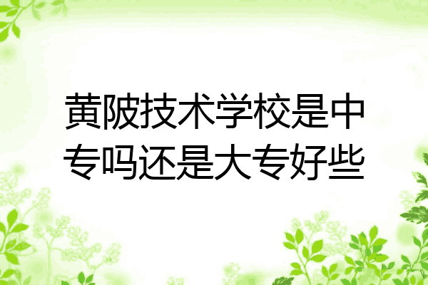黄陂技术学校是中专吗还是大专好些