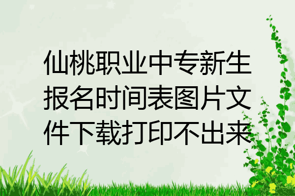 仙桃职业中专新生报名时间表图片文件下载打印不出来
