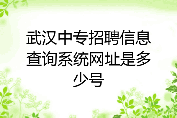 武汉中专招聘信息查询系统网址是多少号
