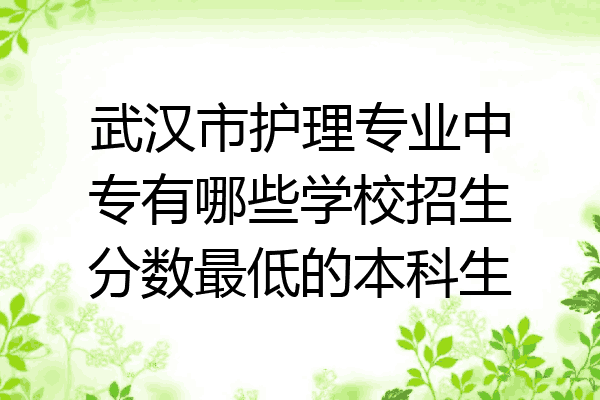 武汉市护理专业中专有哪些学校招生分数最低的本科生