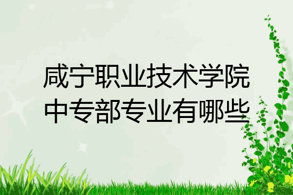 咸宁职业技术学院中专部专业有哪些