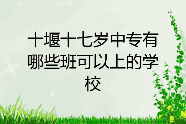 十堰十七岁中专有哪些班可以上的学校