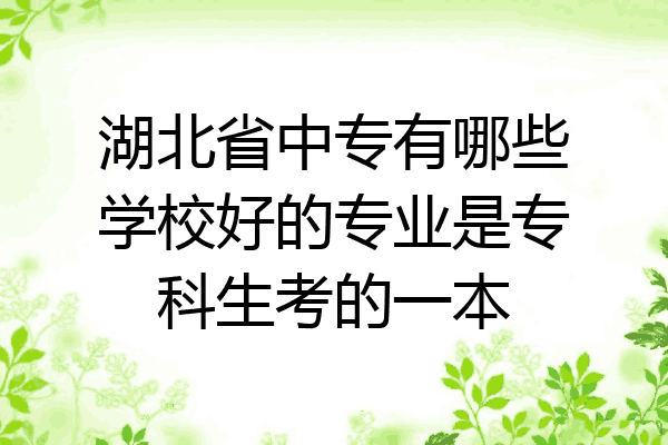 湖北省中专有哪些学校好的专业是专科生考的一本