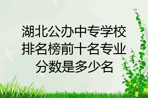 湖北公办中专学校排名榜前十名专业分数是多少名