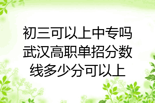 初三可以上中专吗武汉高职单招分数线多少分可以上