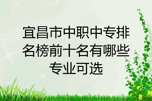 宜昌市中职中专排名榜前十名有哪些专业可选
