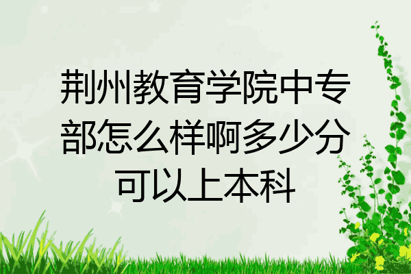 荆州教育学院中专部怎么样啊多少分可以上本科