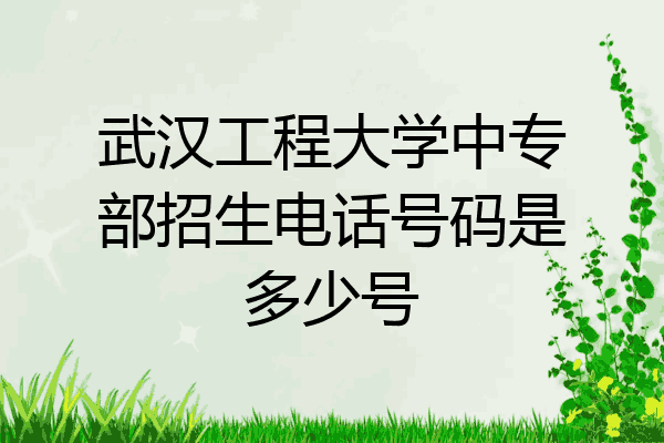武汉工程大学中专部招生电话号码是多少号