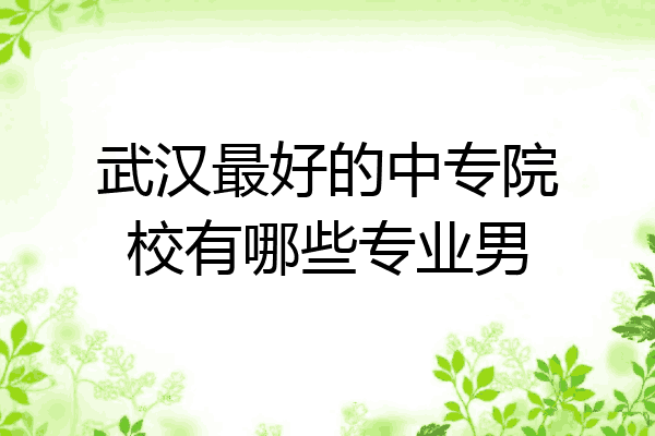 武汉最好的中专院校有哪些专业男