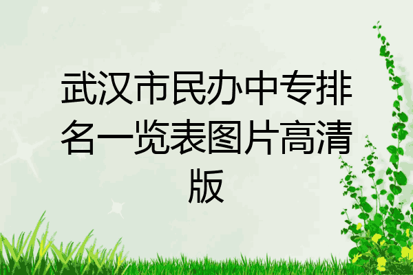 武汉市民办中专排名一览表图片高清版