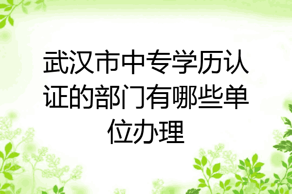 武汉市中专学历认证的部门有哪些单位办理