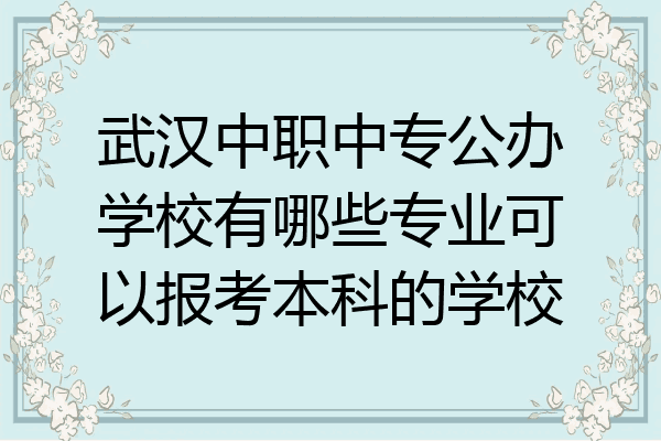 武汉中职中专公办学校有哪些专业可以报考本科的学校