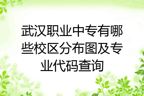 武汉职业中专有哪些校区分布图及专业代码查询