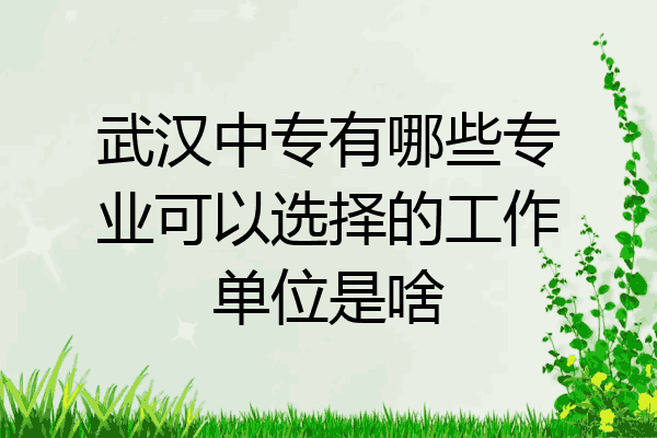 武汉中专有哪些专业可以选择的工作单位是啥