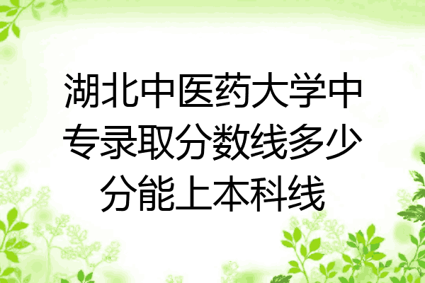 湖北中医药大学中专录取分数线多少分能上本科线