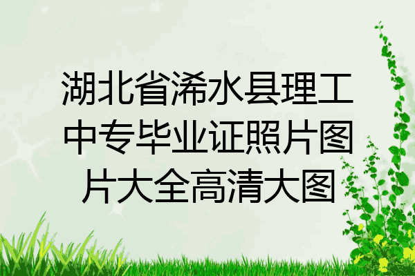 湖北省浠水县理工中专毕业证照片图片大全高清大图