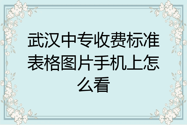 武汉中专收费标准表格图片手机上怎么看