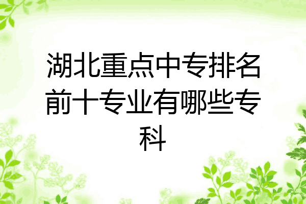 湖北重点中专排名前十专业有哪些专科