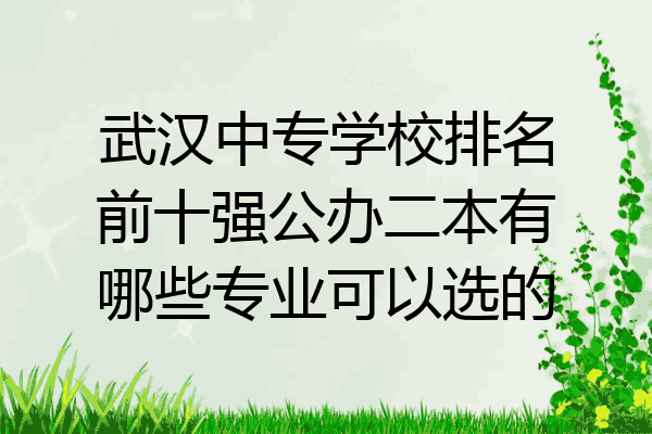 武汉中专学校排名前十强公办二本有哪些专业可以选的