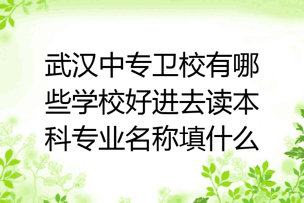 武汉中专卫校有哪些学校好进去读本科专业名称填什么