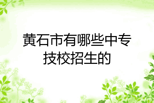 黄石市有哪些中专技校招生的