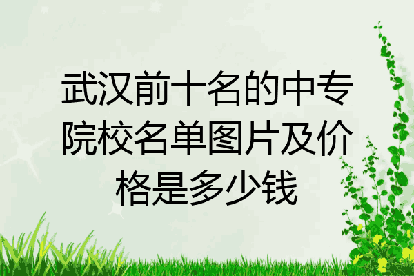 武汉前十名的中专院校名单图片及价格是多少钱