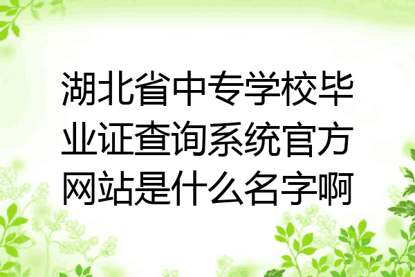 湖北省中专学校毕业证查询系统官方网站是什么名字啊