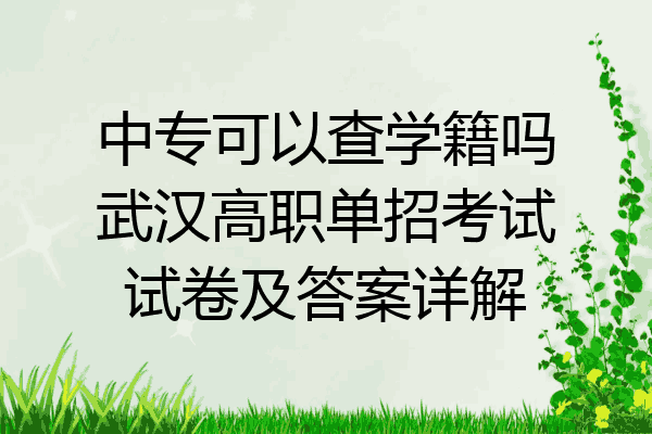 中专可以查学籍吗武汉高职单招考试试卷及答案详解