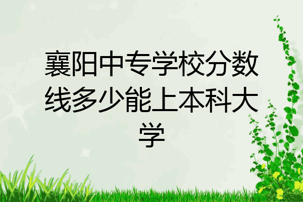 襄阳中专学校分数线多少能上本科大学