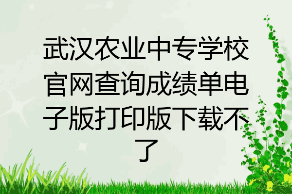 武汉农业中专学校官网查询成绩单电子版打印版下载不了