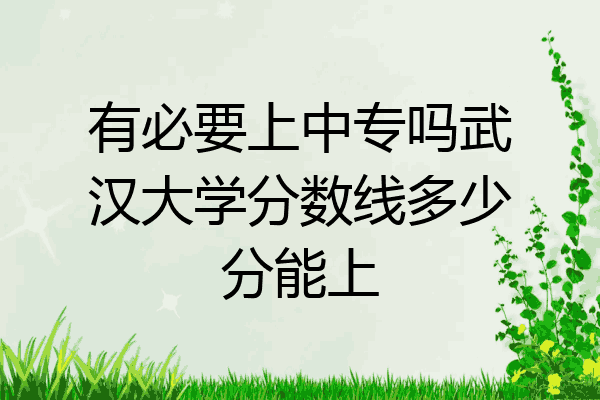 有必要上中专吗武汉大学分数线多少分能上