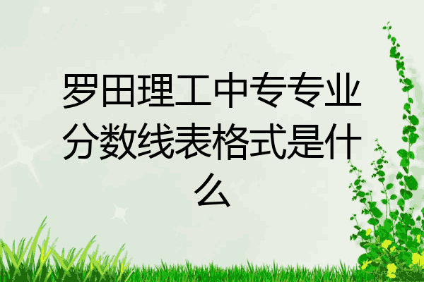 罗田理工中专专业分数线表格式是什么