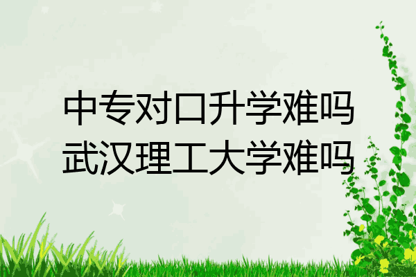 中专对口升学难吗武汉理工大学难吗