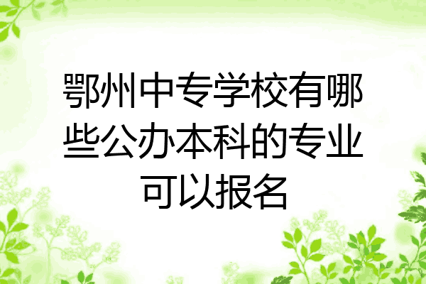 鄂州中专学校有哪些公办本科的专业可以报名
