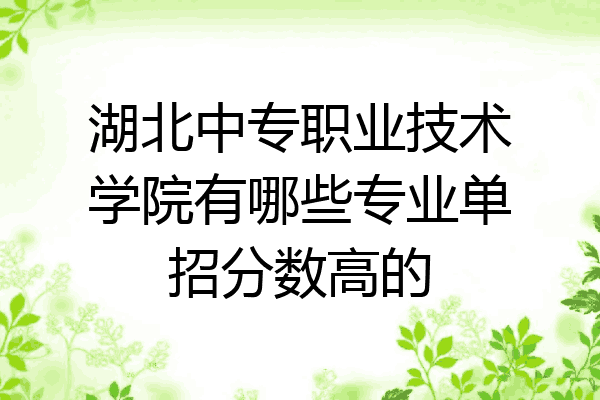 湖北中专职业技术学院有哪些专业单招分数高的