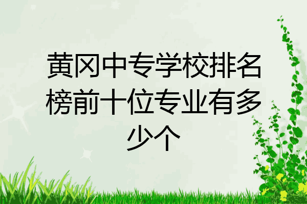 黄冈中专学校排名榜前十位专业有多少个