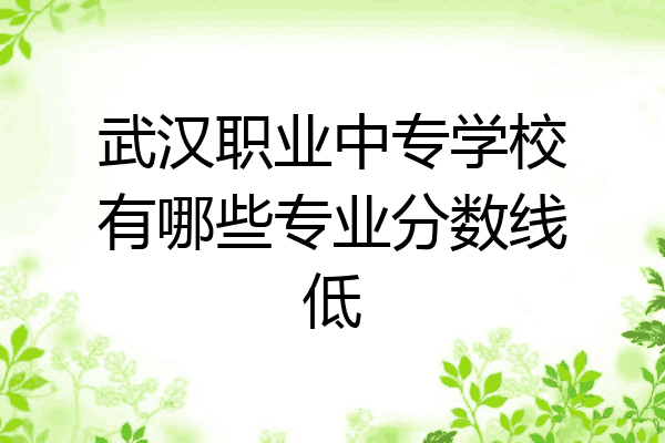 武汉职业中专学校有哪些专业分数线低