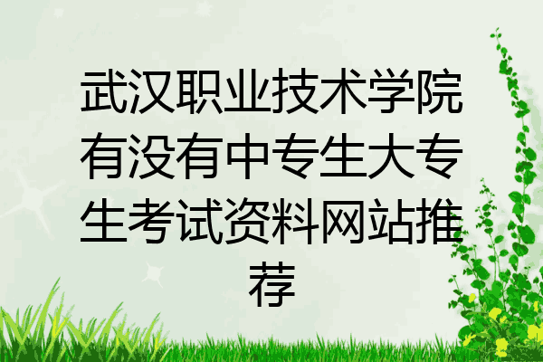 武汉职业技术学院有没有中专生大专生考试资料网站推荐