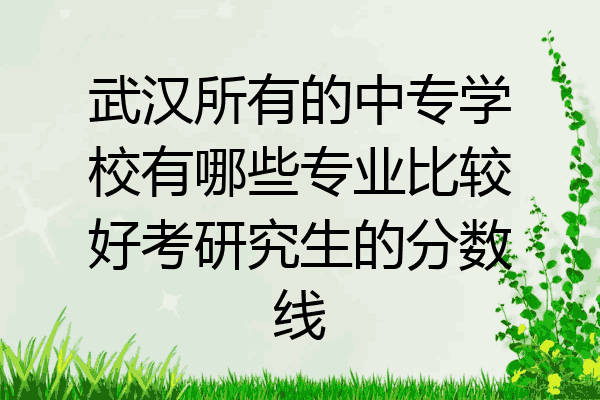 武汉所有的中专学校有哪些专业比较好考研究生的分数线