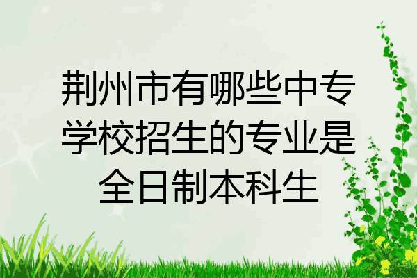 荆州市有哪些中专学校招生的专业是全日制本科生