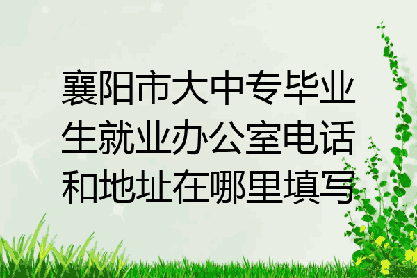 襄阳市大中专毕业生就业办公室电话和地址在哪里填写