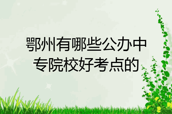 鄂州有哪些公办中专院校好考点的