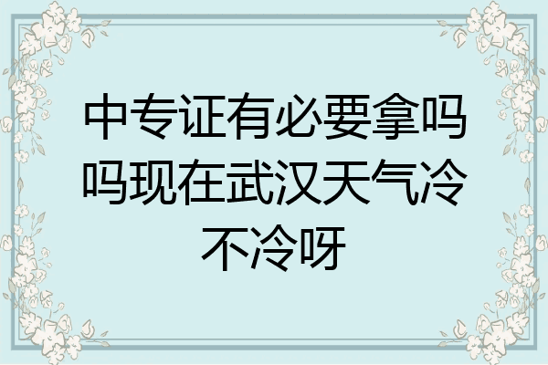 中专证有必要拿吗吗现在武汉天气冷不冷呀