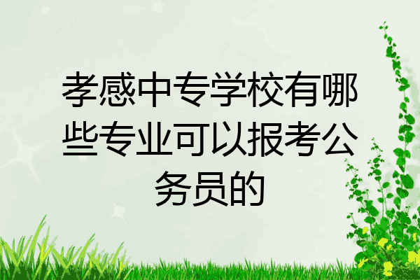 孝感中专学校有哪些专业可以报考公务员的