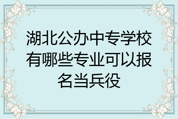 湖北公办中专学校有哪些专业可以报名当兵役