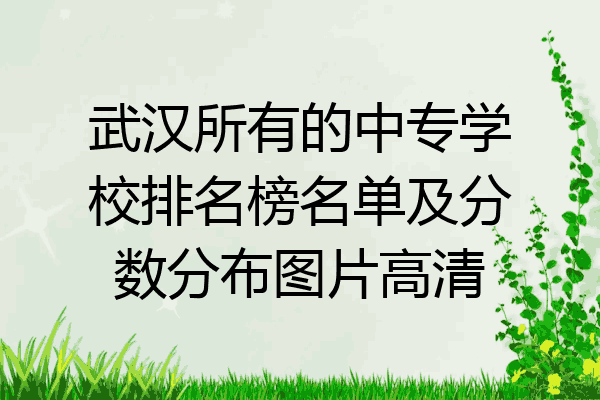武汉所有的中专学校排名榜名单及分数分布图片高清