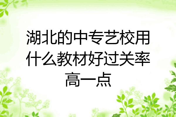 湖北的中专艺校用什么教材好过关率高一点