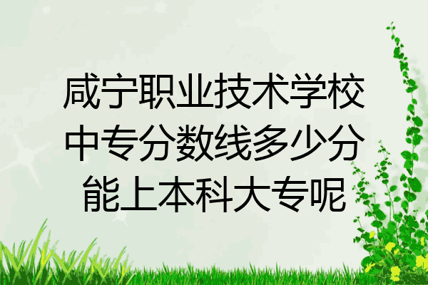 咸宁职业技术学校中专分数线多少分能上本科大专呢