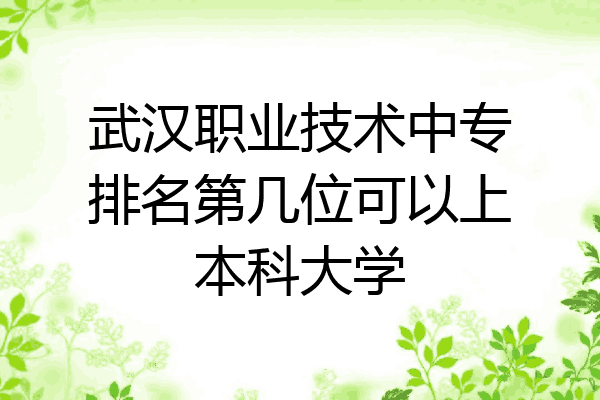 武汉职业技术中专排名第几位可以上本科大学