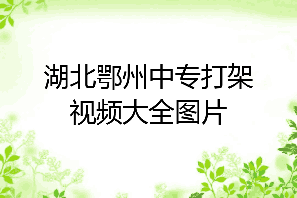 湖北鄂州中专打架视频大全图片